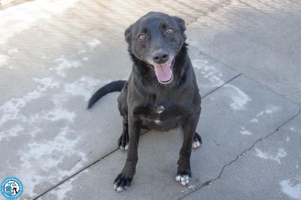 Pako: Energia, Carattere E Tanta Voglia Di Ricominciare